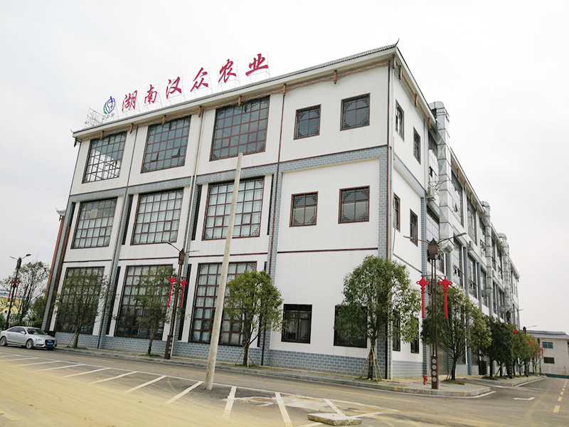 湖南漢眾農業發展有限公司,懷化純天然七角艾草植物種植,懷化艾制品制造銷售