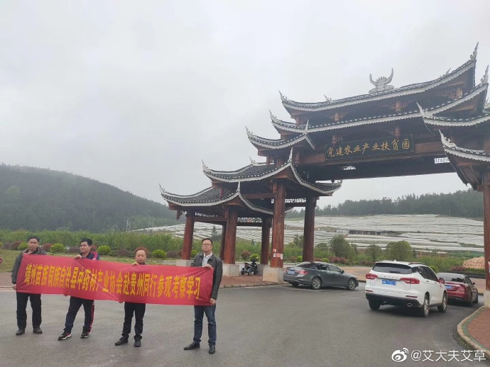 湖南漢眾農業發展有限公司,懷化天然七角艾草植物種植,懷化艾制品制造銷售