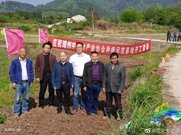 湖南漢眾農(nóng)業(yè)發(fā)展有限公司,懷化天然七角艾草植物種植,懷化艾制品制造銷售 湖南漢眾農(nóng)業(yè)發(fā)展有限公司,懷化天然七角艾草植物種植,懷化艾制品制造銷售