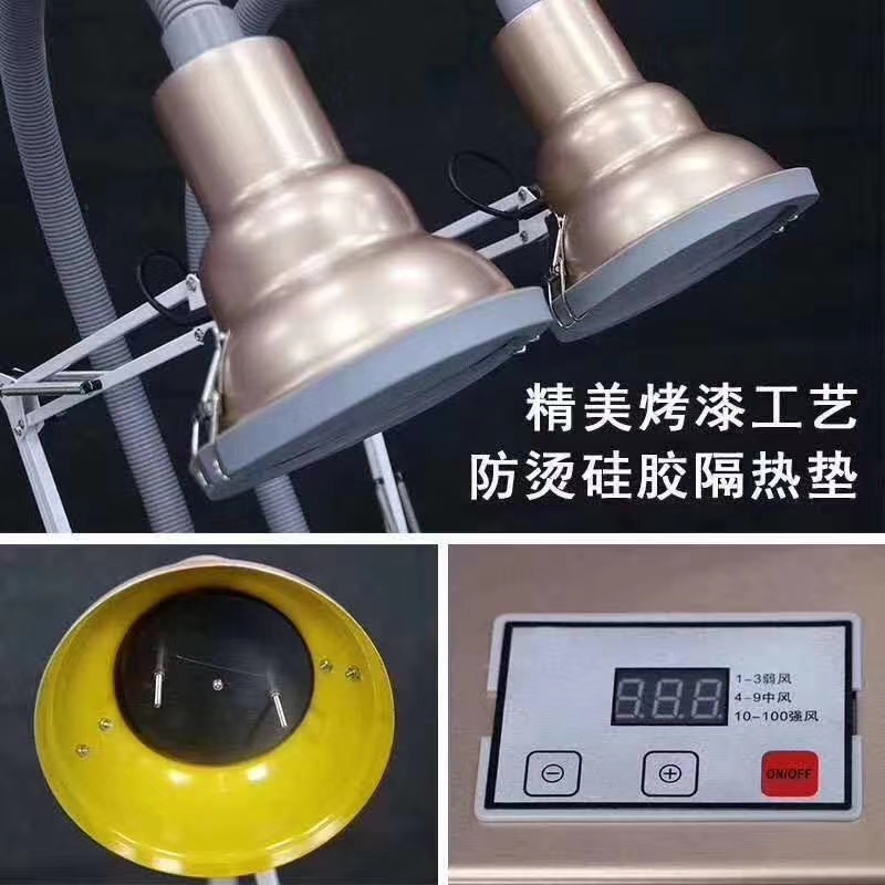 湖南漢眾農業發展有限公司,懷化天然七角艾草植物種植,懷化艾制品制造銷售